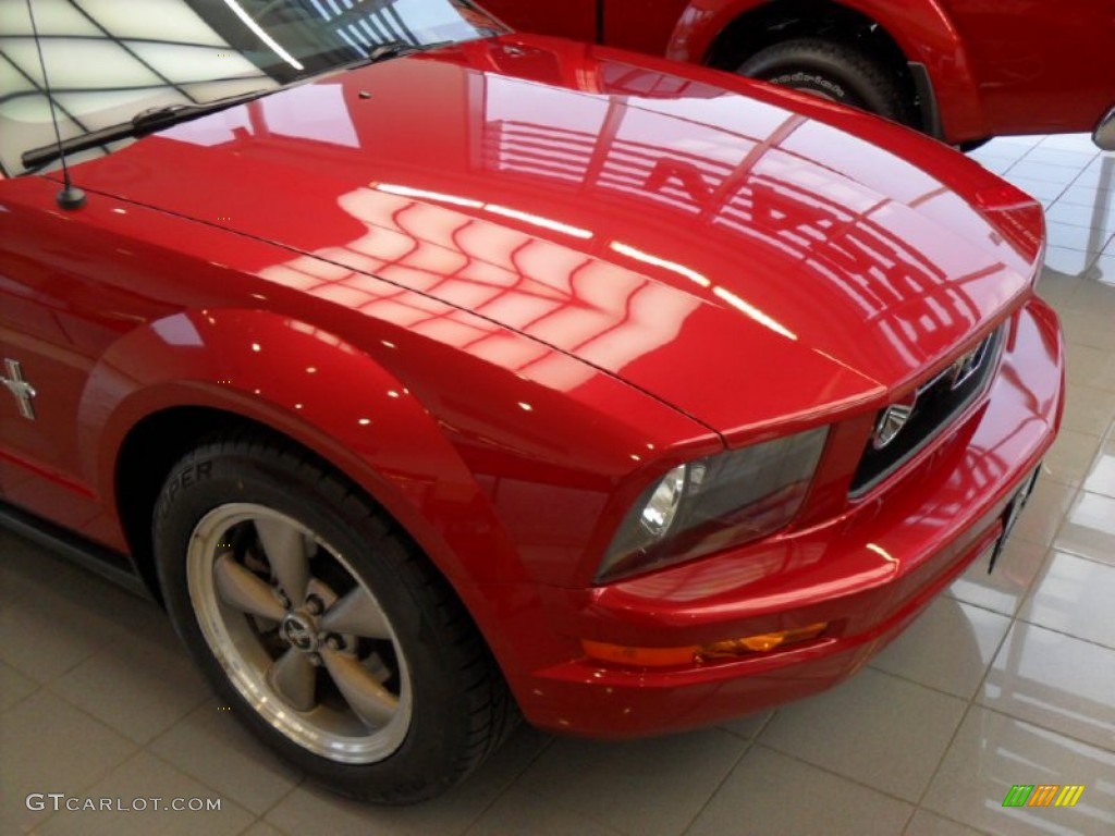 2006 Mustang V6 Premium Coupe - Redfire Metallic / Dark Charcoal photo #8
