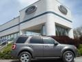 2012 Sterling Gray Metallic Ford Escape Limited V6 4WD  photo #1