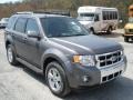 2012 Sterling Gray Metallic Ford Escape Limited V6 4WD  photo #2