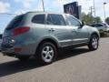 2008 Platinum Sage Hyundai Santa Fe GLS  photo #6