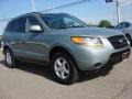 2008 Platinum Sage Hyundai Santa Fe GLS  photo #8