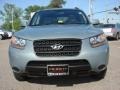 2008 Platinum Sage Hyundai Santa Fe GLS  photo #9