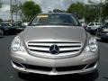 Pewter Metallic - R 350 4Matic Photo No. 3