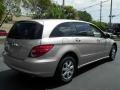 Pewter Metallic - R 350 4Matic Photo No. 11