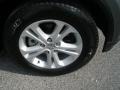 Mineral Gray Metallic - Durango Crew Photo No. 6