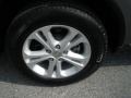 Mineral Gray Metallic - Durango Crew Photo No. 13
