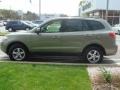 Natural Khaki Green - Santa Fe GLS Photo No. 3