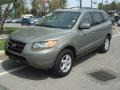 Natural Khaki Green - Santa Fe GLS Photo No. 4