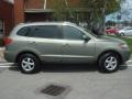 Natural Khaki Green - Santa Fe GLS Photo No. 17