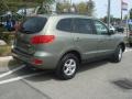 Natural Khaki Green - Santa Fe GLS Photo No. 18