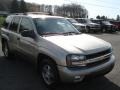 2003 Light Pewter Metallic Chevrolet TrailBlazer LT 4x4  photo #1