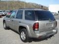 2003 Light Pewter Metallic Chevrolet TrailBlazer LT 4x4  photo #4