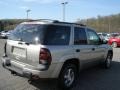 2003 Light Pewter Metallic Chevrolet TrailBlazer LT 4x4  photo #6