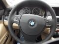 2012 Black Sapphire Metallic BMW 5 Series 528i Sedan  photo #9