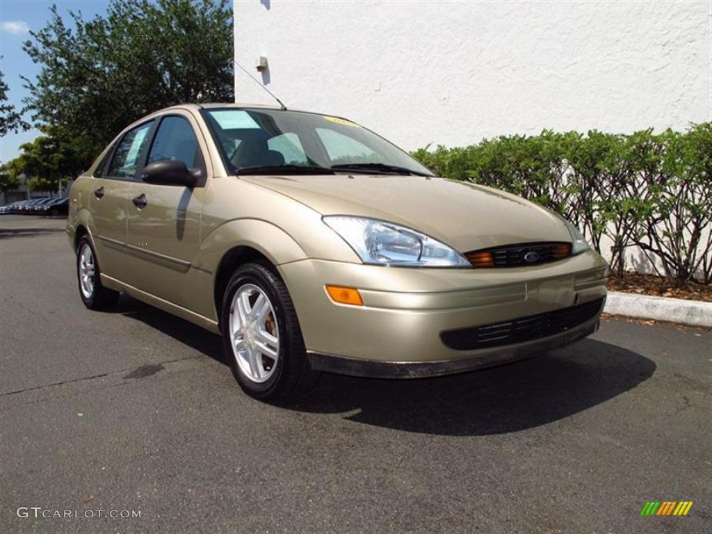 Fort Knox Gold Ford Focus