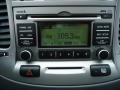 2009 Kia Rio Rio5 SX Hatchback Audio System
