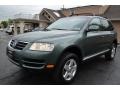 Reed Green Metallic - Touareg V6 Photo No. 12