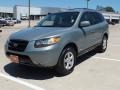 2007 Steel Gray Hyundai Santa Fe GLS  photo #9