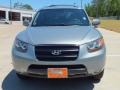 2007 Steel Gray Hyundai Santa Fe GLS  photo #10