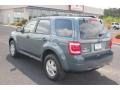 2010 Steel Blue Metallic Ford Escape XLT  photo #7