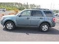 2010 Steel Blue Metallic Ford Escape XLT  photo #8