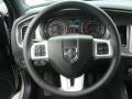 Bright Silver Metallic - Charger Rallye Photo No. 11