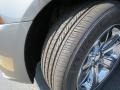 Tungsten Metallic - Charger SE Photo No. 11