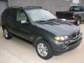 Highland Green Metallic - X5 3.0i Photo No. 6