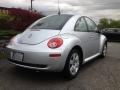 Reflex Silver - New Beetle 2.5 Coupe Photo No. 6