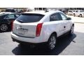 Platinum Ice Tricoat - SRX Premium Photo No. 4
