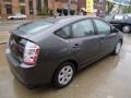 Magnetic Gray Metallic - Prius Hybrid Photo No. 5