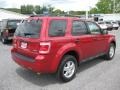 2009 Redfire Pearl Ford Escape XLT V6 4WD  photo #7