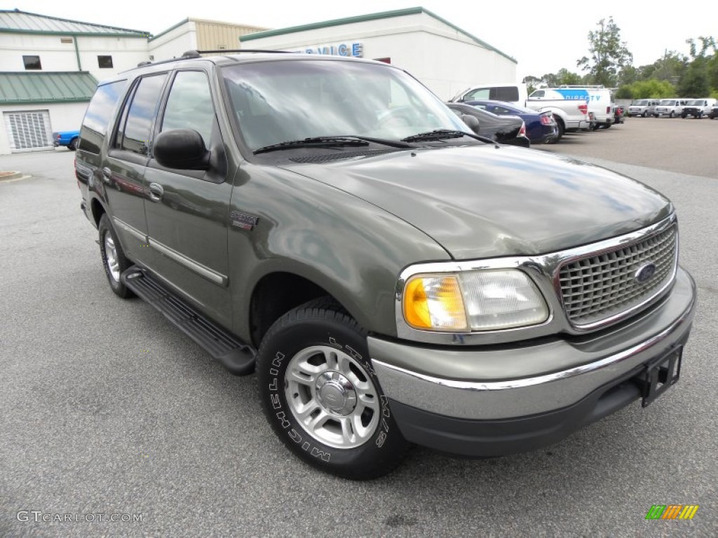 2001 Expedition XLT - Estate Green Metallic / Medium Parchment photo #1
