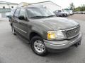 Estate Green Metallic 2001 Ford Expedition XLT