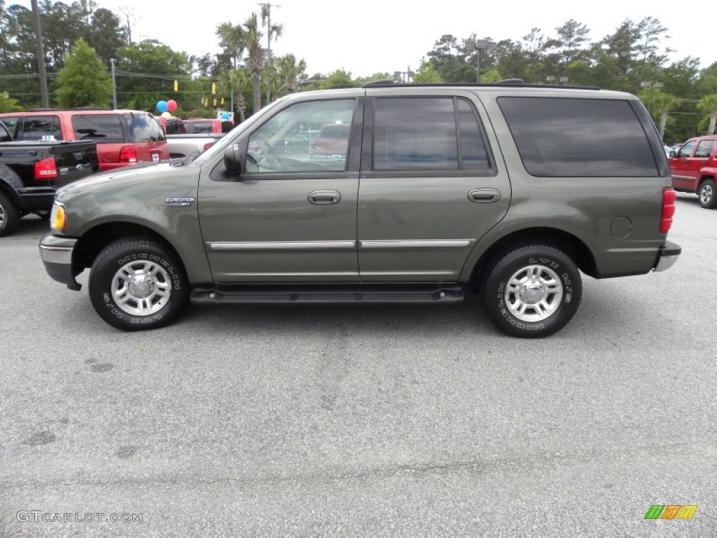 2001 Expedition XLT - Estate Green Metallic / Medium Parchment photo #2