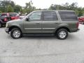 Estate Green Metallic - Expedition XLT Photo No. 2