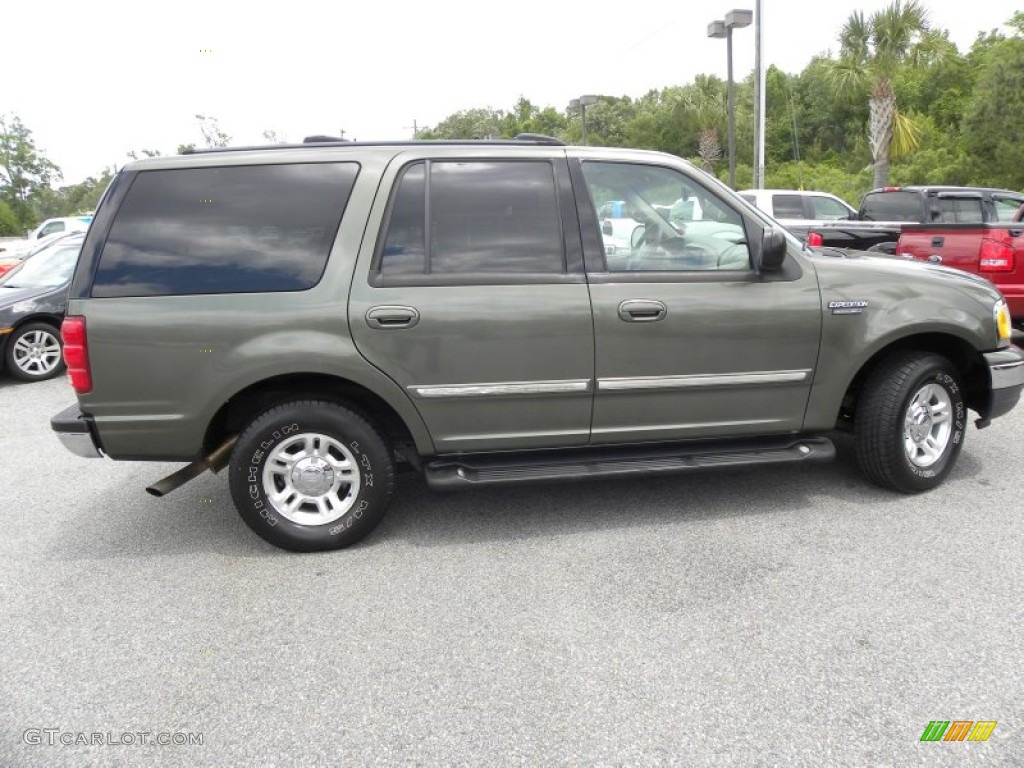 2001 Expedition XLT - Estate Green Metallic / Medium Parchment photo #13