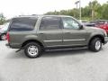 Estate Green Metallic - Expedition XLT Photo No. 13