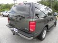 Estate Green Metallic - Expedition XLT Photo No. 14