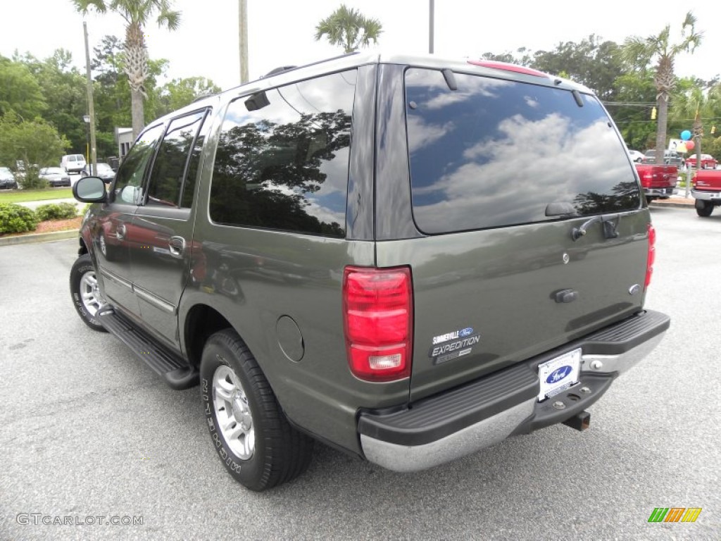 2001 Expedition XLT - Estate Green Metallic / Medium Parchment photo #17