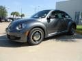 Platinum Gray Metallic - Beetle 2.5L Photo No. 3