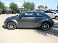 Platinum Gray Metallic - Beetle 2.5L Photo No. 4