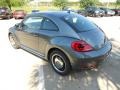 Platinum Gray Metallic - Beetle 2.5L Photo No. 5