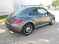 Platinum Gray Metallic - Beetle 2.5L Photo No. 7