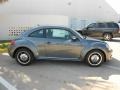 Platinum Gray Metallic - Beetle 2.5L Photo No. 8