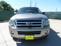 2009 Vapor Silver Metallic Ford Expedition XLT  photo #8