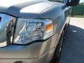 2009 Vapor Silver Metallic Ford Expedition XLT  photo #11