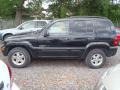 2003 Black Clearcoat Jeep Liberty Limited  photo #3