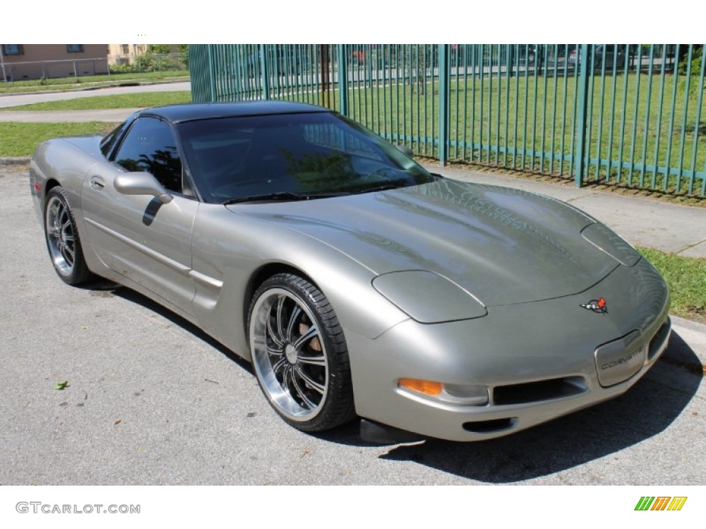 1999 Corvette Coupe - Light Pewter Metallic / Black photo #2