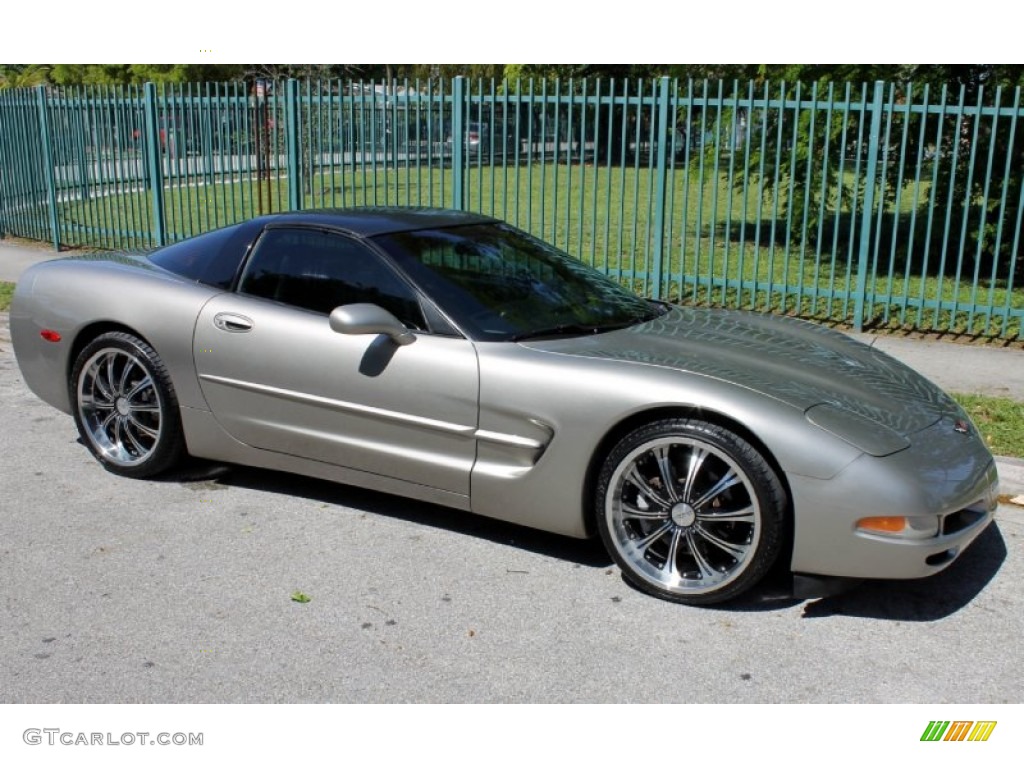 1999 Corvette Coupe - Light Pewter Metallic / Black photo #4